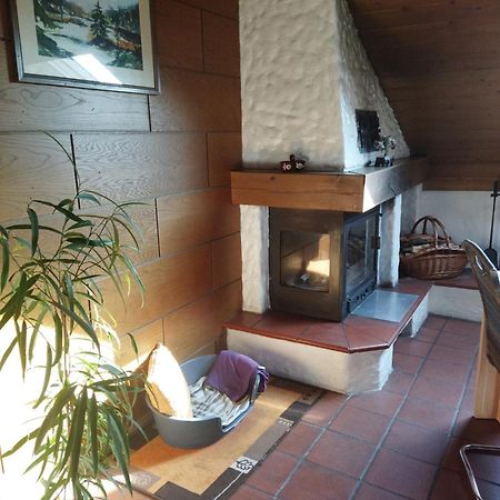 Aussergewoehnliche Atelierferienwohnung Mit Balkon An Der Donau Winzer Kültér fotó