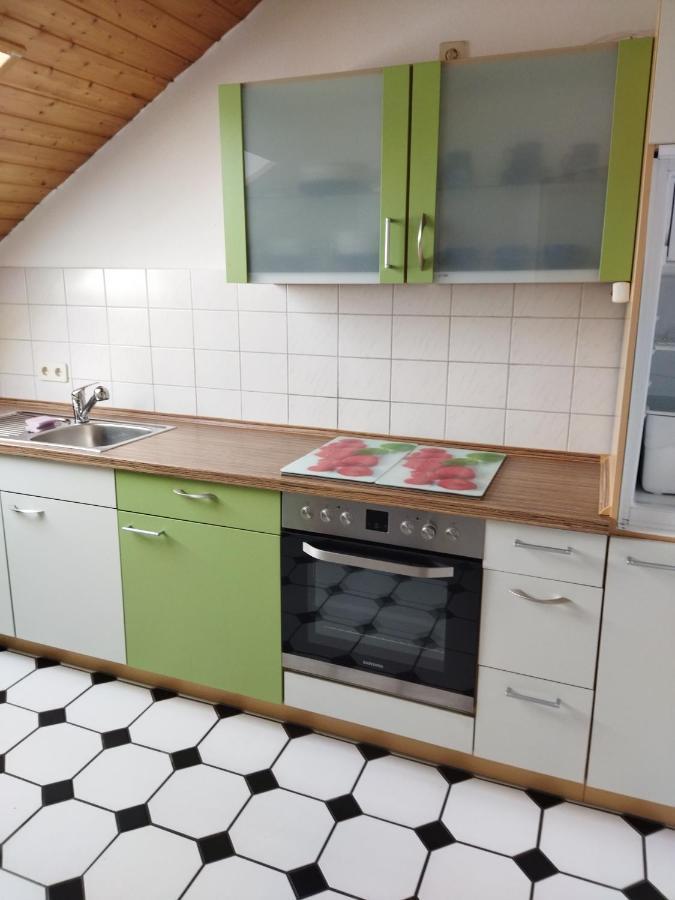 Aussergewoehnliche Atelierferienwohnung Mit Balkon An Der Donau Winzer Kültér fotó