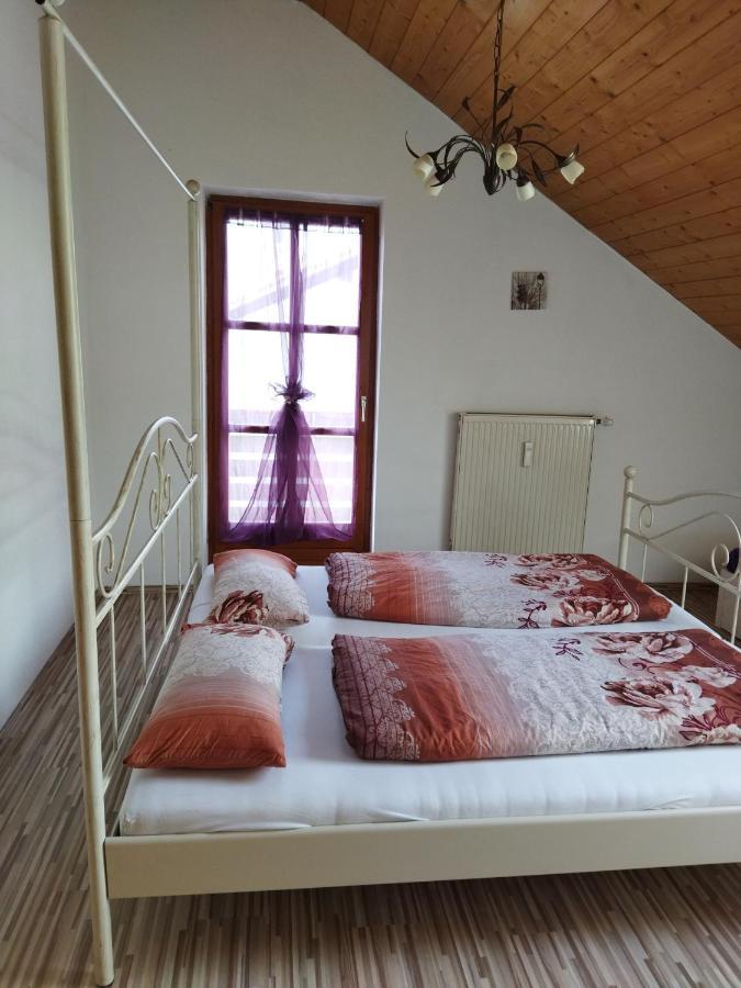 Aussergewoehnliche Atelierferienwohnung Mit Balkon An Der Donau Winzer Kültér fotó