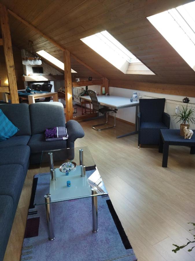 Aussergewoehnliche Atelierferienwohnung Mit Balkon An Der Donau Winzer Kültér fotó