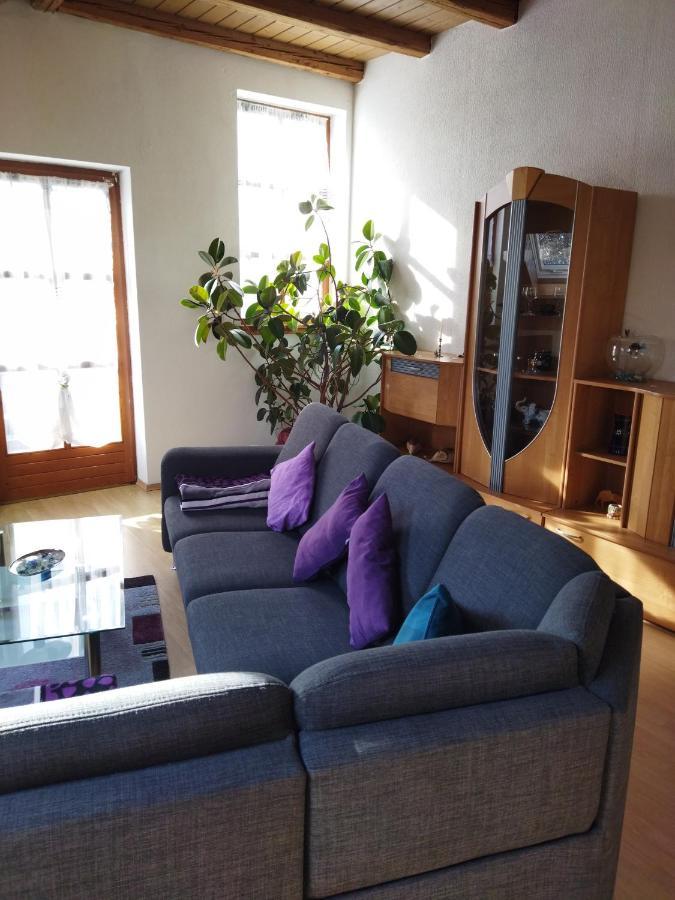 Aussergewoehnliche Atelierferienwohnung Mit Balkon An Der Donau Winzer Kültér fotó