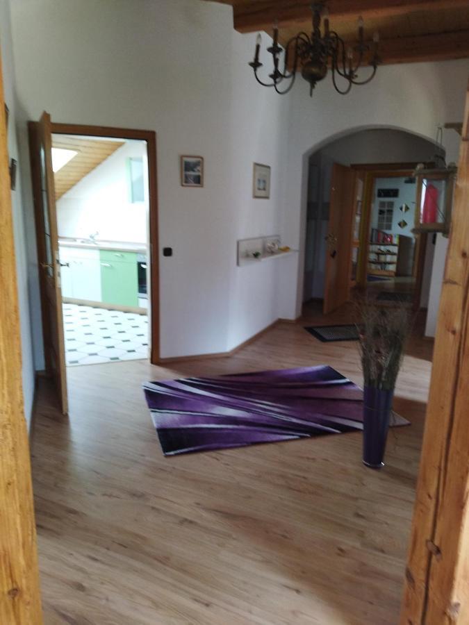 Aussergewoehnliche Atelierferienwohnung Mit Balkon An Der Donau Winzer Kültér fotó