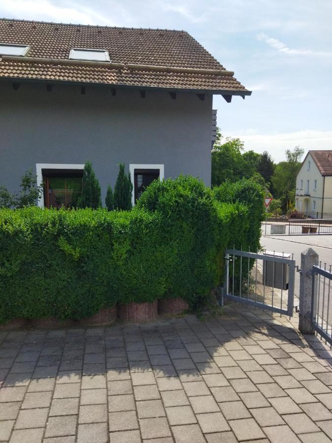 Aussergewoehnliche Atelierferienwohnung Mit Balkon An Der Donau Winzer Kültér fotó