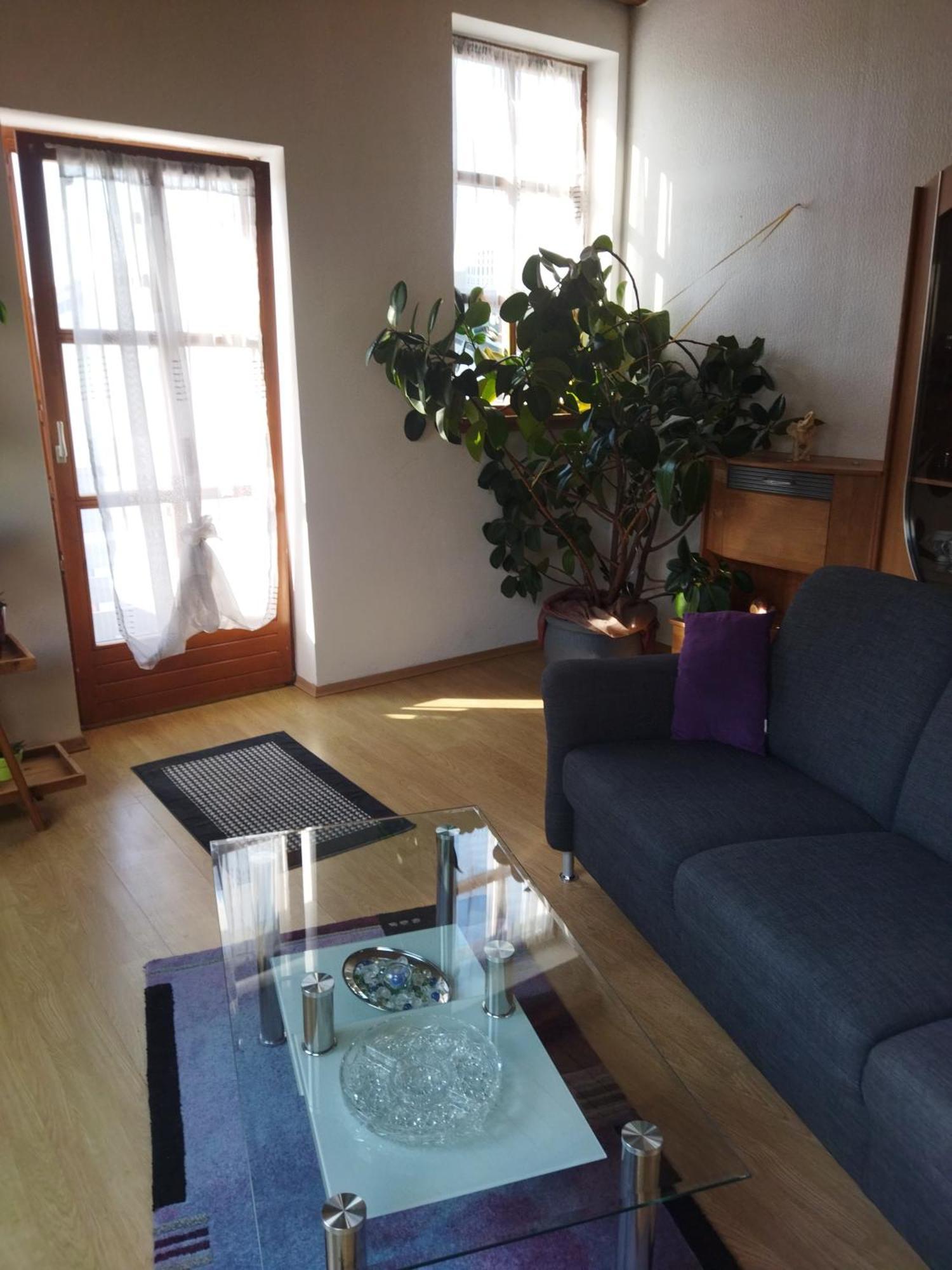 Aussergewoehnliche Atelierferienwohnung Mit Balkon An Der Donau Winzer Kültér fotó